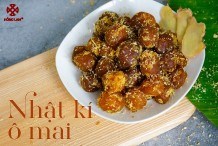 Nhật ký ô mai